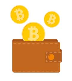 crypto wallet vector